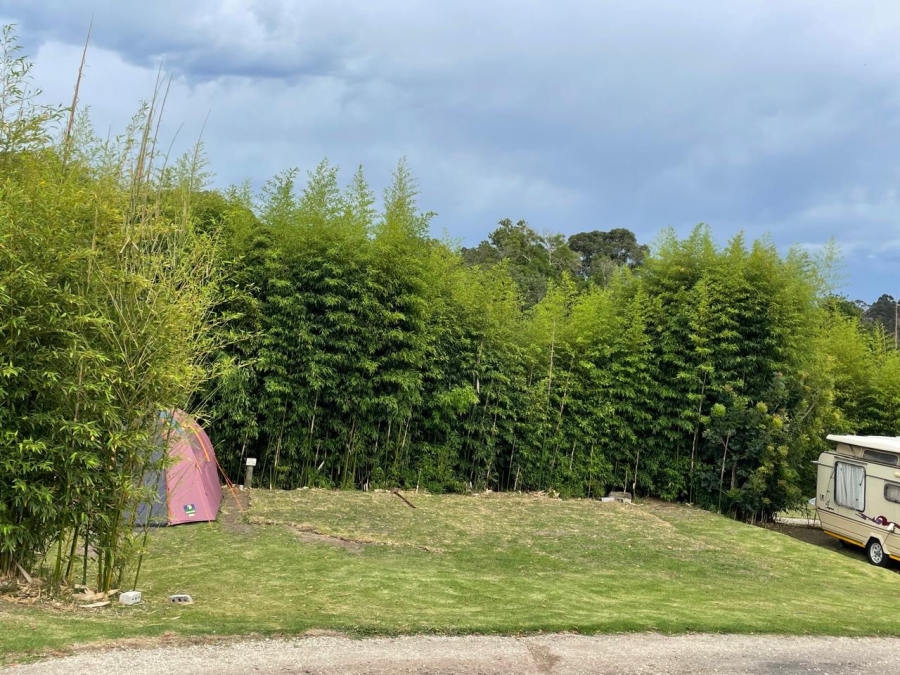 Commercial Property for Sale in Harkerville A H Western Cape